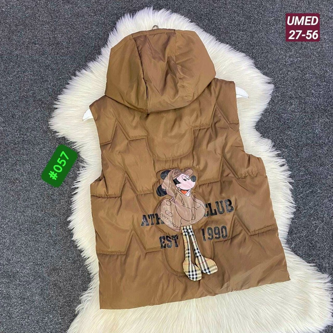 жилетка moncler,жилет moncler,жилетка монклер,жилет,жилетка