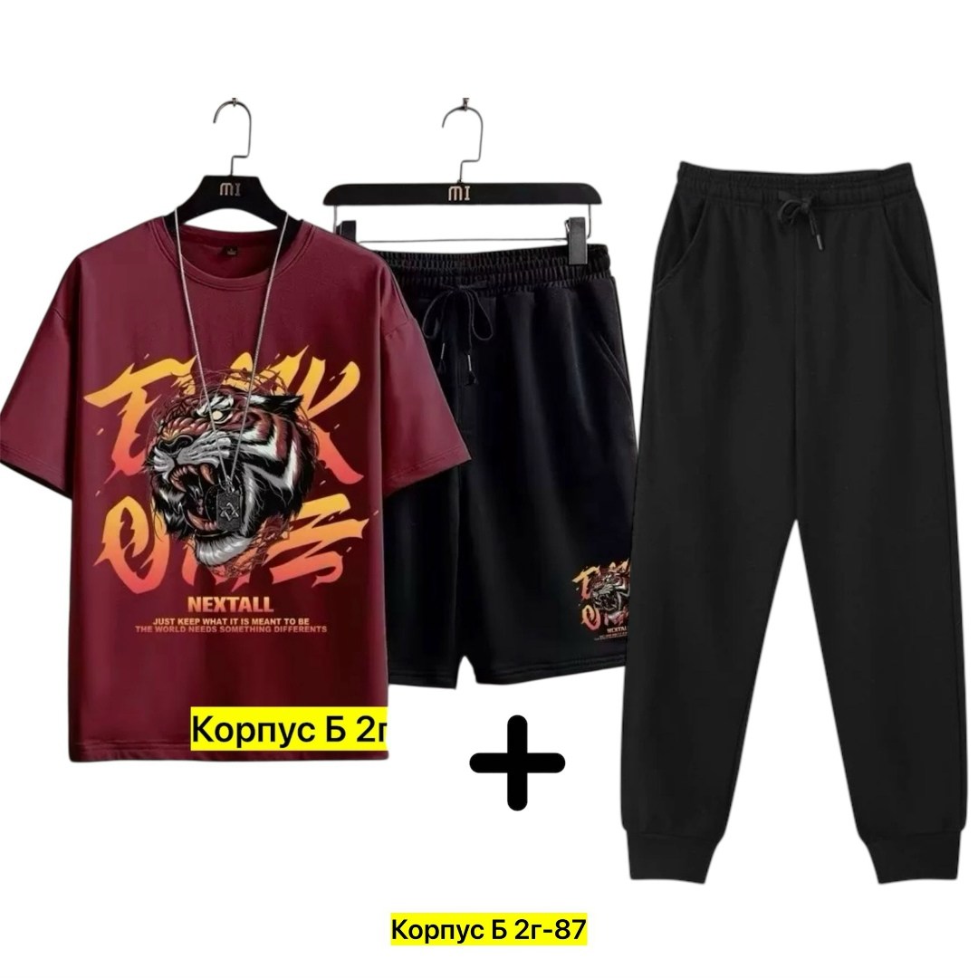 костюм спортивный мужской,спортивные костюм,костюм мужской,футболки комплект,костюм для мужчин