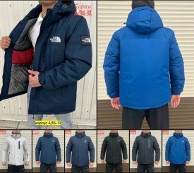 Верхняя одежда