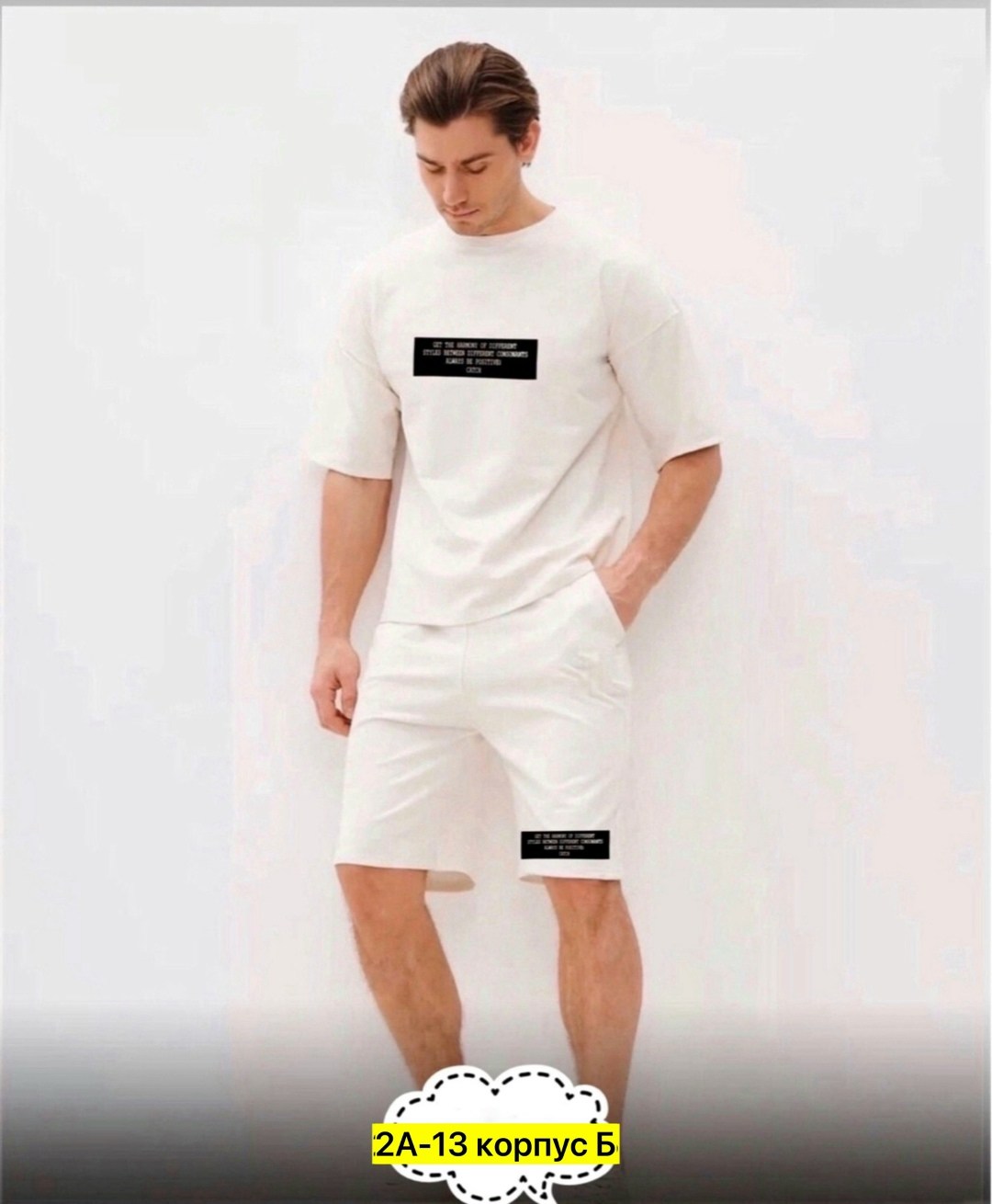 костюм спортивный мужской летний с шортами,спортивный костюм летний с шортами и футболкой,костюм спортивный мужской,костюм мужской,мужской спортивный костюм с шортами и футболкой