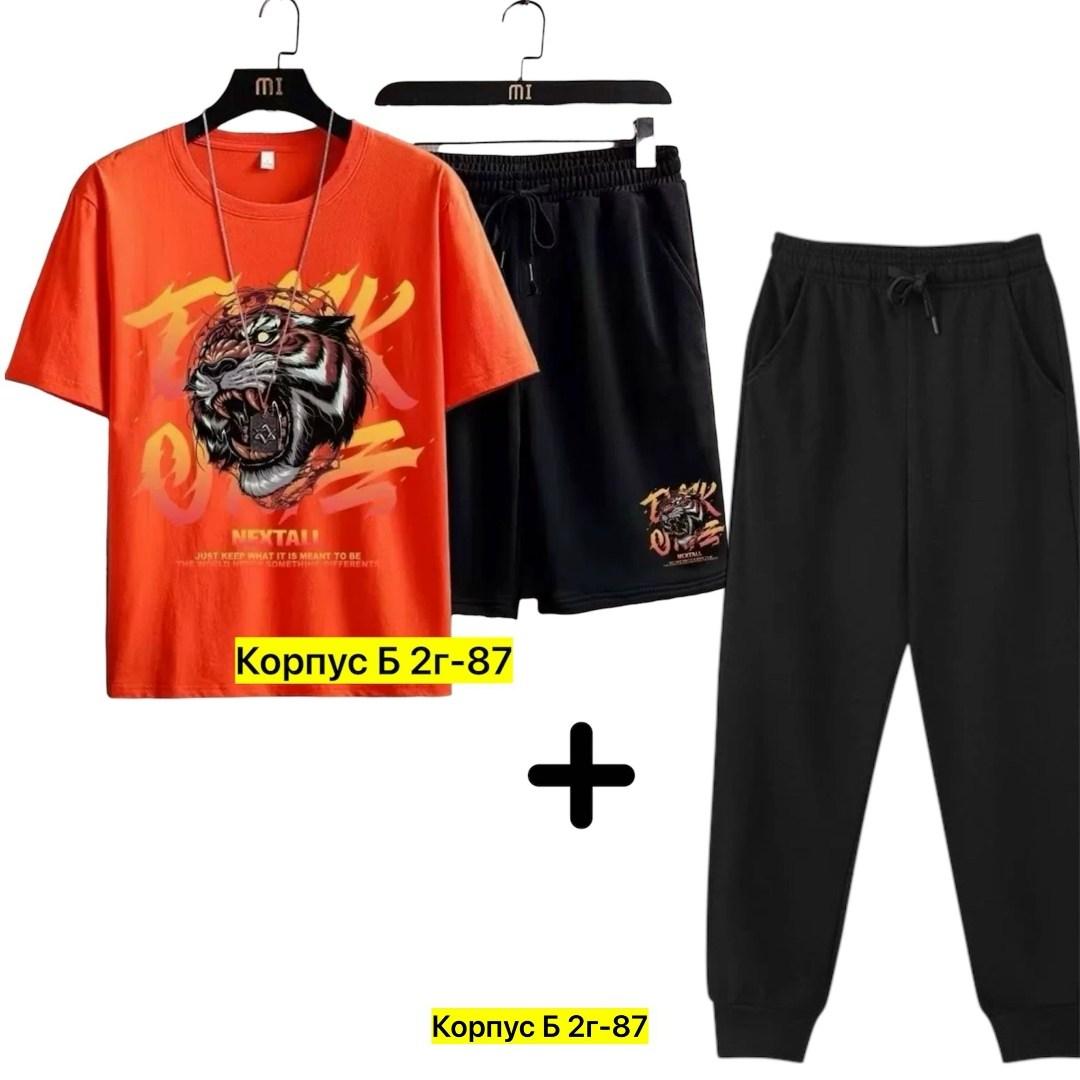 костюм спортивный мужской,спортивные костюм,костюм мужской,футболки комплект,костюм для мужчин