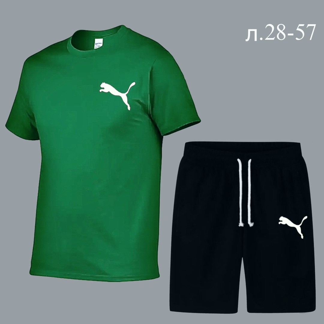 костюм спортивный мужской,комплект спортивной одежды,комплект спортивного костюма,костюм спортивный