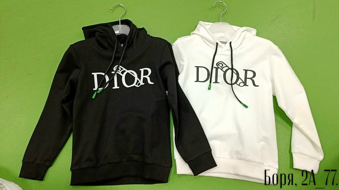 толстовка dior,dior hoodie,худи dior,кофта диор,худи диор