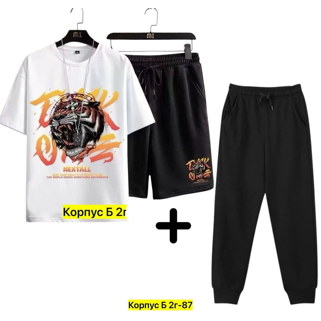 костюм спортивный мужской,спортивные костюм,костюм мужской,футболки комплект,костюм для мужчин