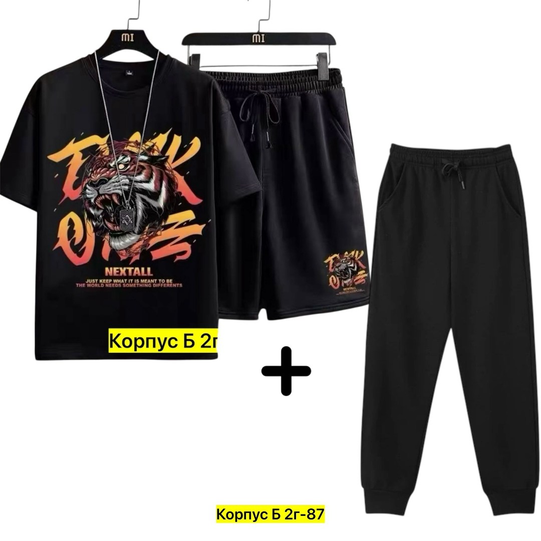 костюм спортивный мужской,спортивные костюм,костюм мужской,футболки комплект,костюм для мужчин