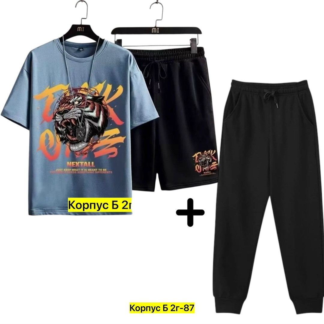 костюм спортивный мужской,спортивные костюм,костюм мужской,футболки комплект,костюм для мужчин