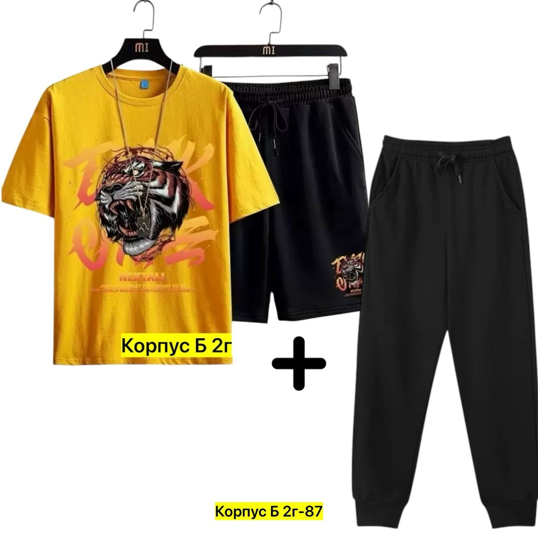 костюм спортивный мужской,спортивные костюм,костюм мужской,футболки комплект,костюм для мужчин