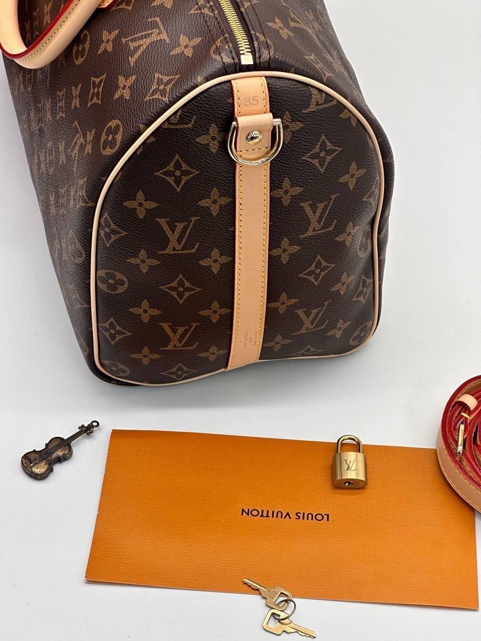 сумка женская louis vuitton,сумка louis vuitton,сумка луи виттон,сумочка луи виттон,сумка луи витон