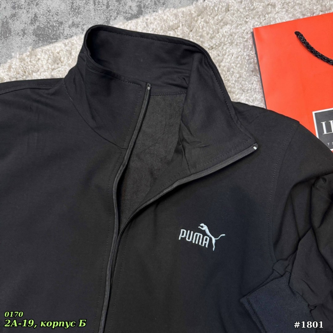 спортивный костюм puma,спортивный костюм мужской puma,олимпийка puma,спортивный костюм мужской пума,пума спартифка мужской