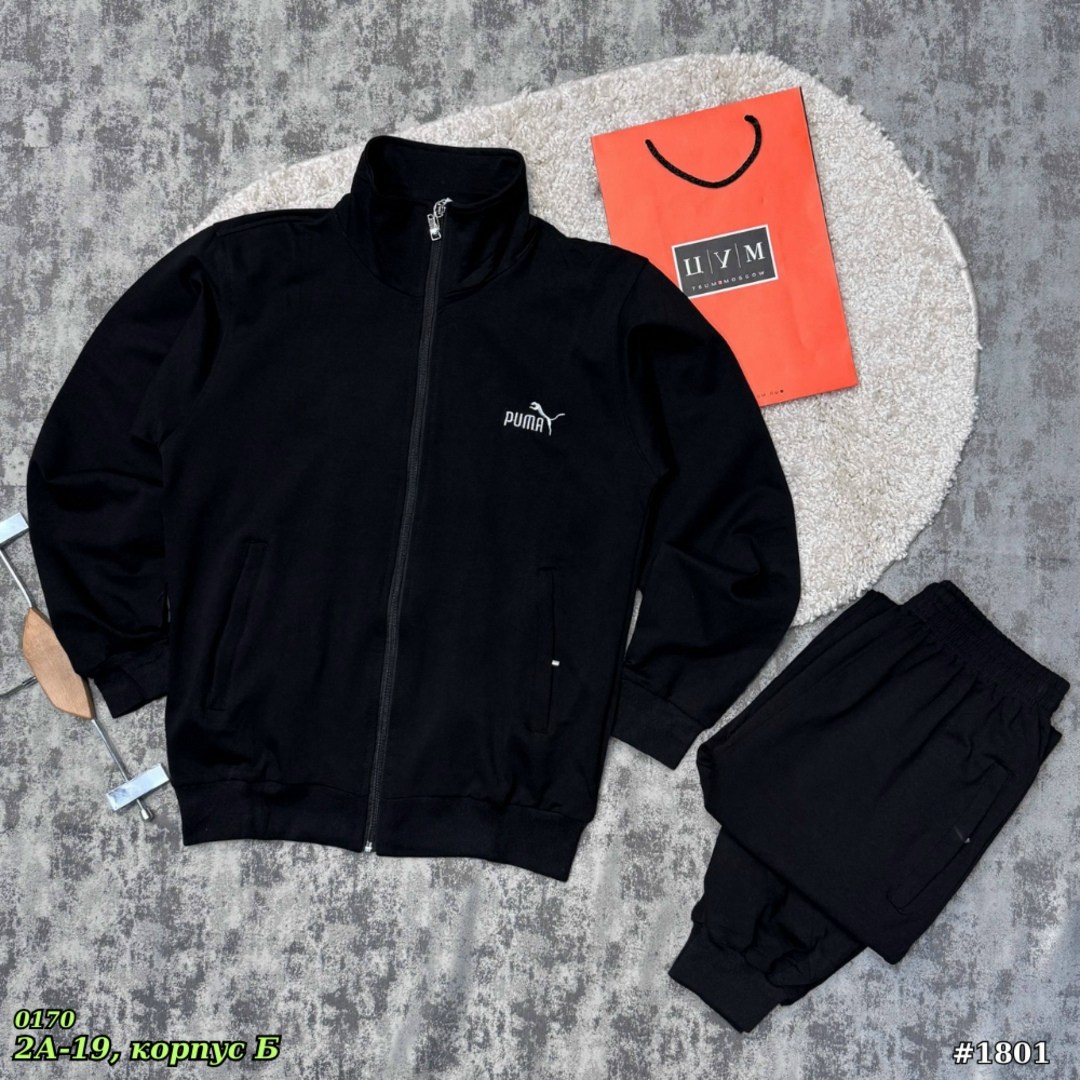 спортивный костюм puma,спортивный костюм мужской puma,олимпийка puma,спортивный костюм мужской пума,пума спартифка мужской