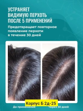 Одежда