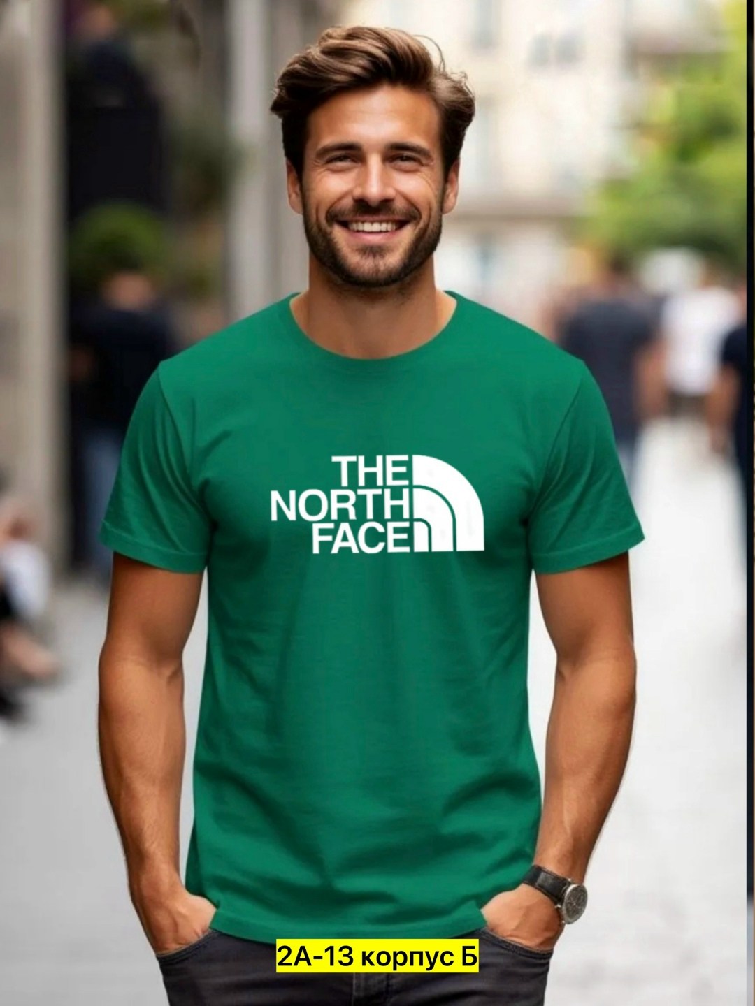 мужские футболки the north face,футболка the north face,футболка the north face зеленый,футболки мужские,футболка мужская the north face easy