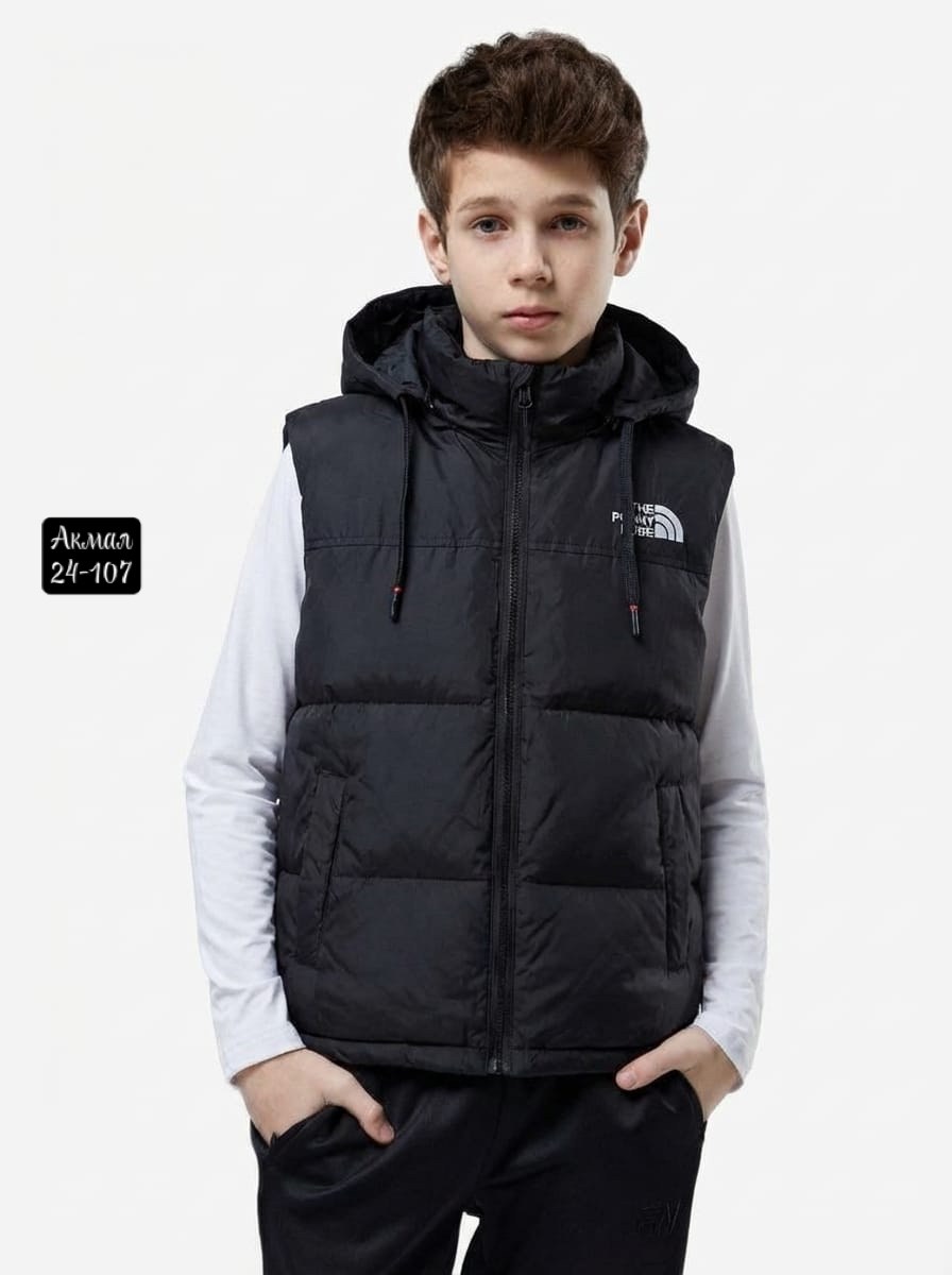 утепленный жилет для мальчика,жилет для мальчика,детский жилет,жилет утепленный the north face,жилетка детская