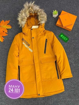 Верхняя одежда