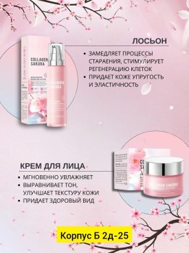 Одежда