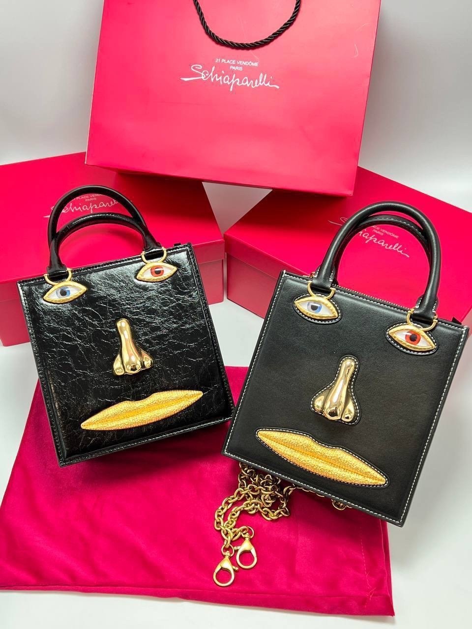 сумка schiaparelli,сумка-тоут schiaparelli,женская сумка schiaparelli,сумка женская shiaparelli & salvador dali,брендовая женская сумка