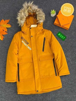 Верхняя одежда