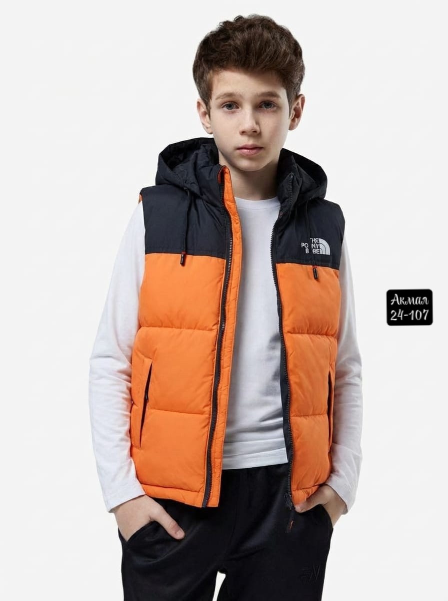 утепленный жилет для мальчика,жилет для мальчика,детский жилет,жилет утепленный the north face,жилетка детская