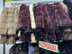 Верхняя одежда