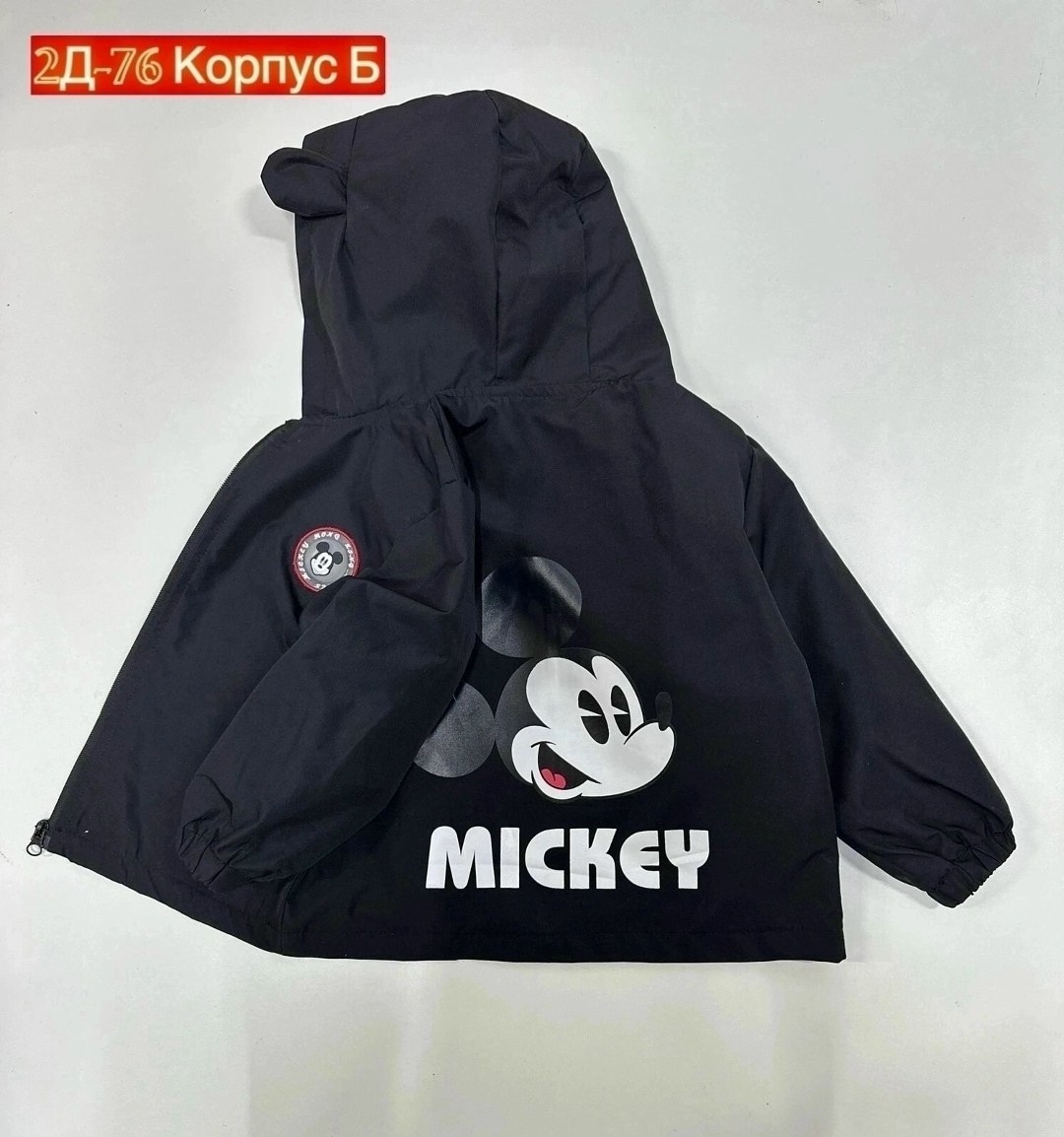 куртка,демисезонная куртка,куртка детский,куртка детская,куртка детская демисезонная