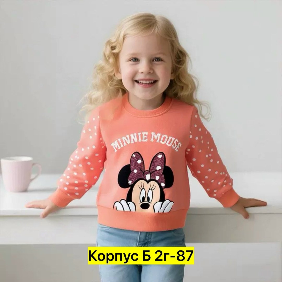 кофта (свитшот, толстовка) для детей evaliza,кофта (свитшот, толстовка) для детей evaliza цвет красный,свитшот с начесом (толстовка) для детей likie 247045933,свитшот с начесом для новорожденных,кофта