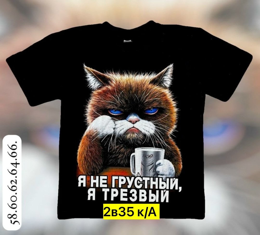 футболка я не грустный я трезвый,трезв футболка,футболки мужские,футболки для мужчин