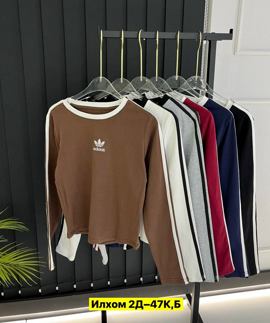 кофта женская,адидас свитшот,кофта адидас,adidas originals adidas,лонгслив женский adidas