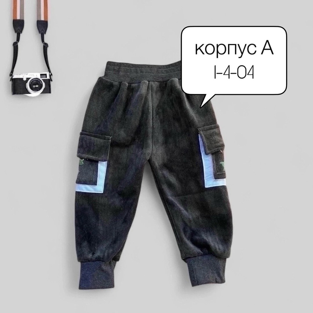 детские штаны,комбинезон детский флисовый,детские брюки,штаны для детей,formydogs комбинезон дино сине