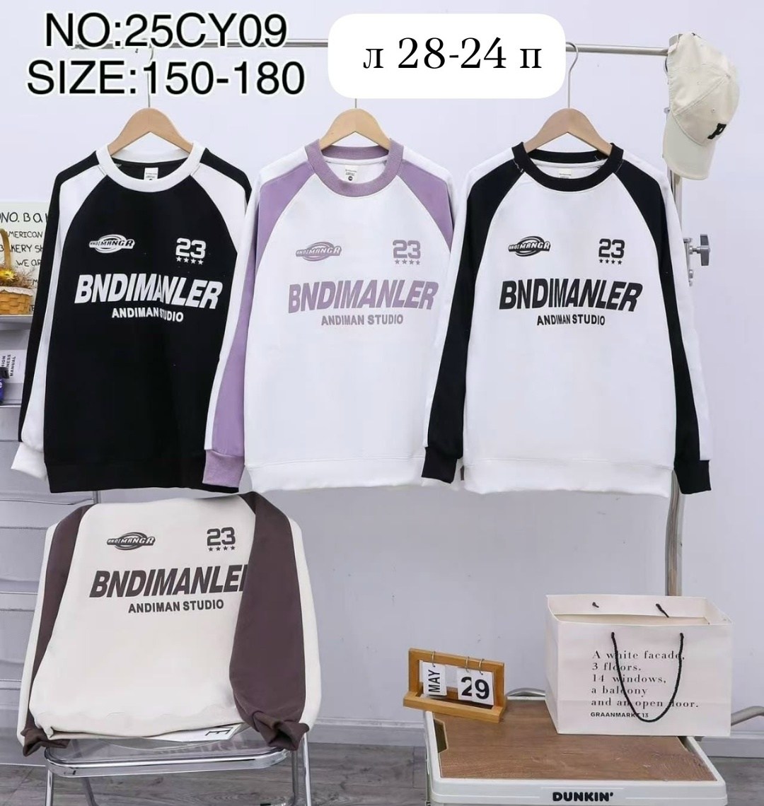 толстовка,толстовки свитшот,женская кофта,толстовка в стиле,мужские свитшоты