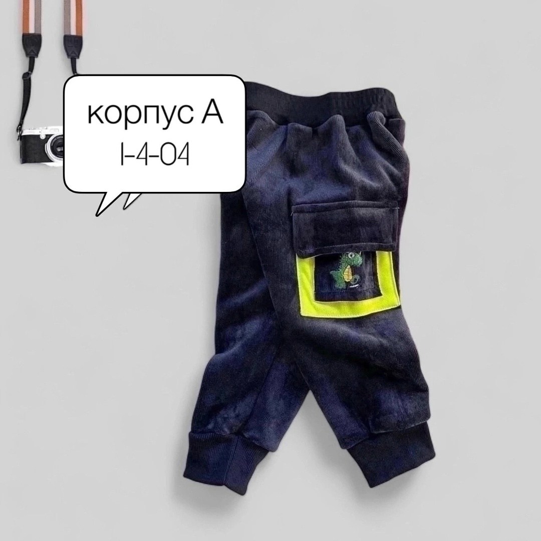 детские штаны,комбинезон детский флисовый,детские брюки,штаны для детей,formydogs комбинезон дино сине