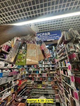 Одежда