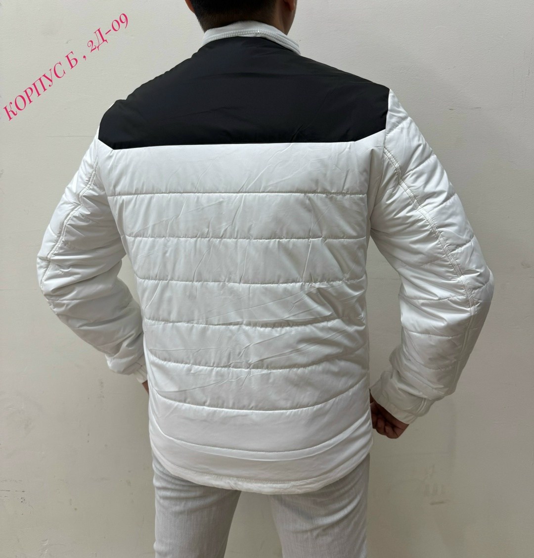 ветровка мужская куртка,куртка,мужская демисезонная куртка,мужская куртк,демисезонная куртка