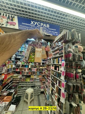 Одежда