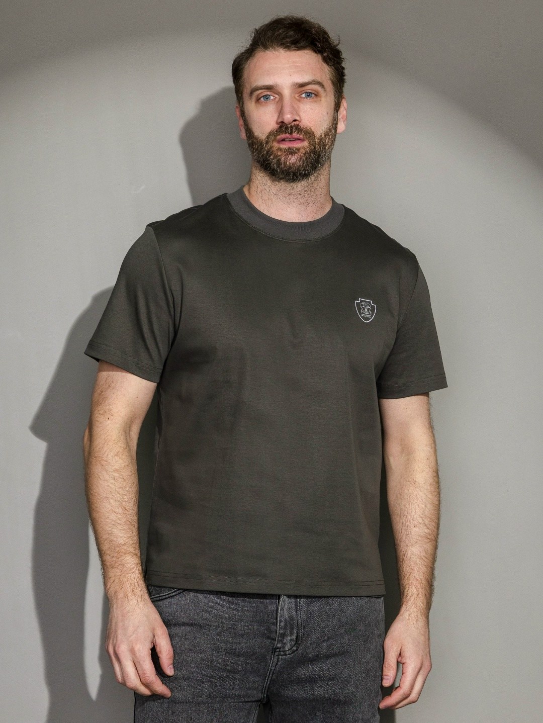 мужская футболка,футболке,одежда футболка,футболки из хлопка,мужская мода