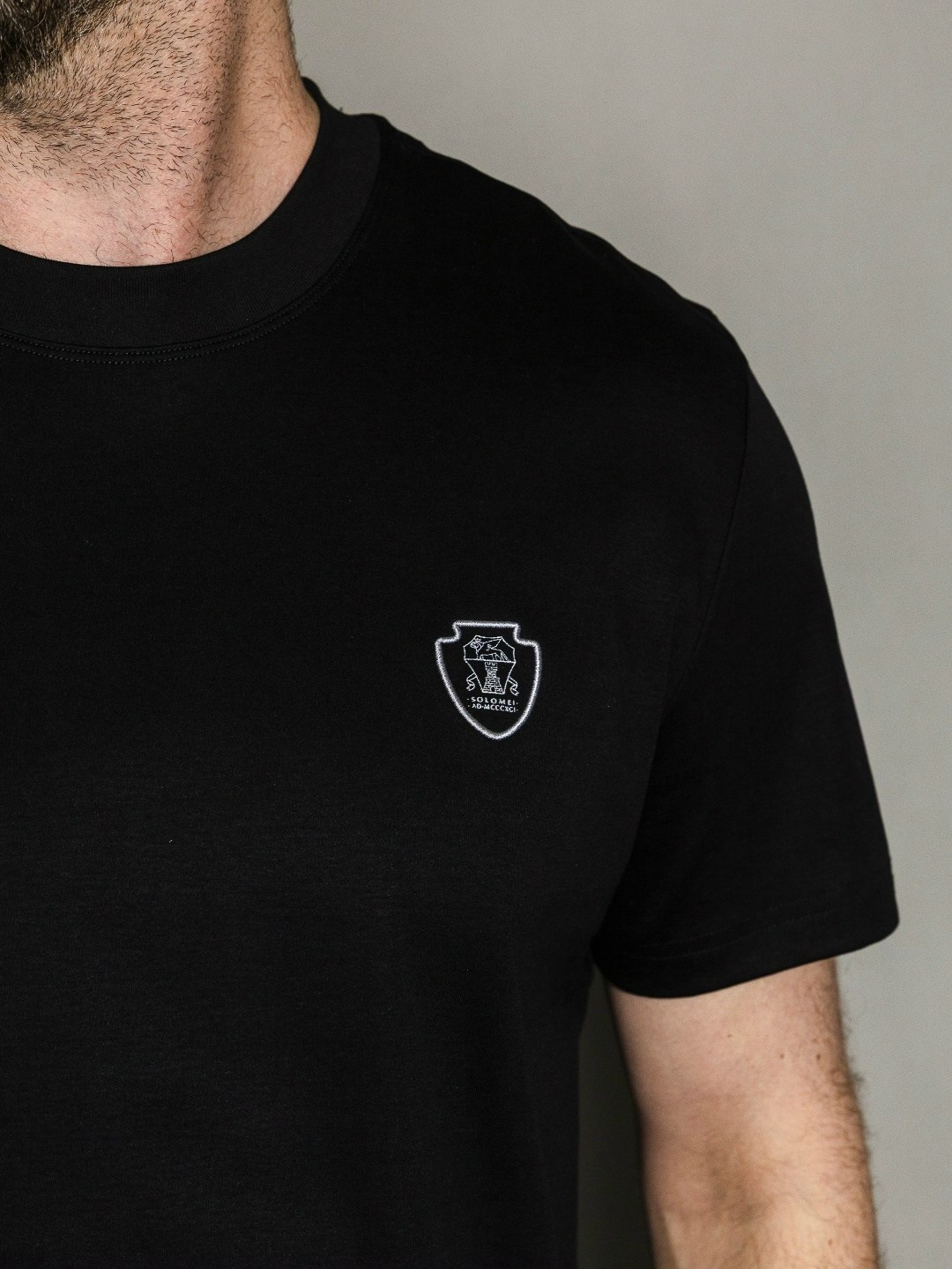 футболки мужские,мужская футболка черная,футболка,футболки для мужчин,мужская мода