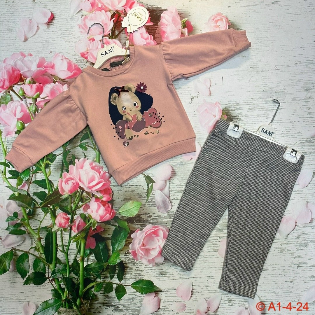 комплект костюм,костюмчик,костюм для девочки на флисе,костюм для девочек,комплект одежды девочке