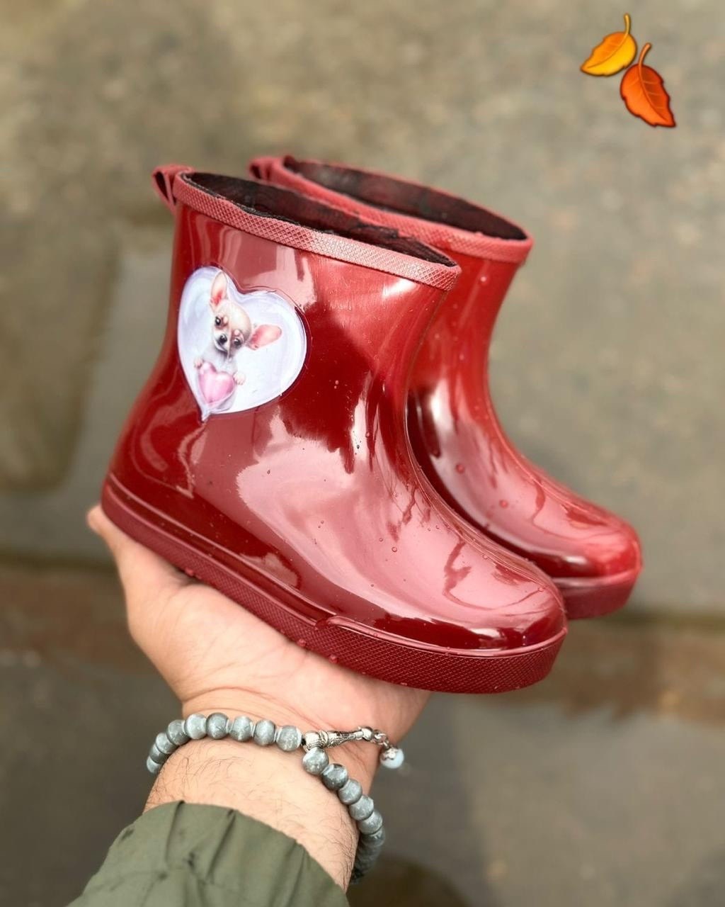 сапоги резиновые,детские резиновые сапоги,резиновые сапоги для девочек,резиновые сапоги мелисса детские,сапоги детские