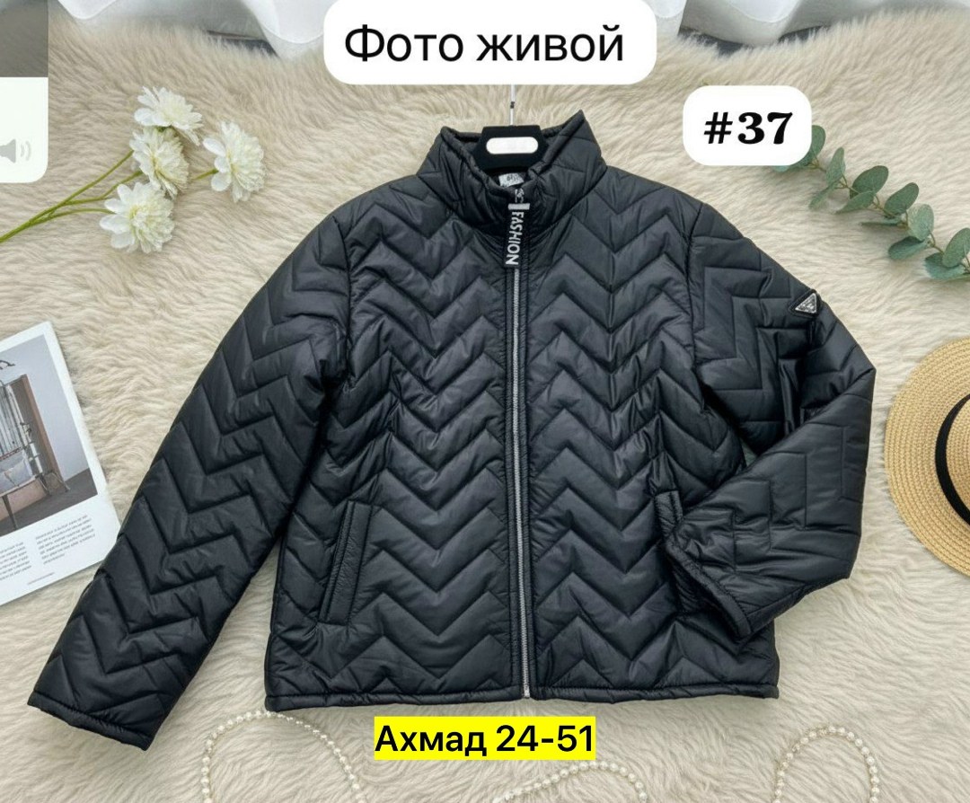 куртка женская демисезонная большие размеры,куртка демисезонная женская больших размеров,женские куртки больших размеров,демисезонная куртка больших размеров,куртка женская большие размеры