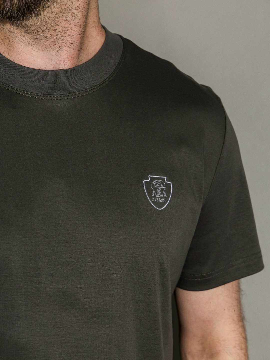 мужская футболка,футболке,одежда футболка,футболки из хлопка,мужская мода