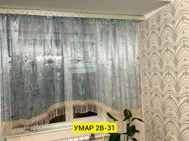 Одежда