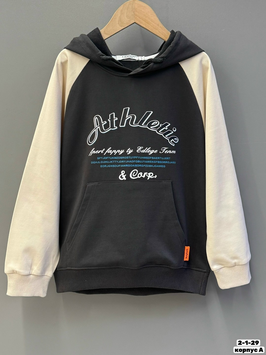 толстовки худи,толстовка,спортивная толстовка,толстовка в стиле,толстовки женская