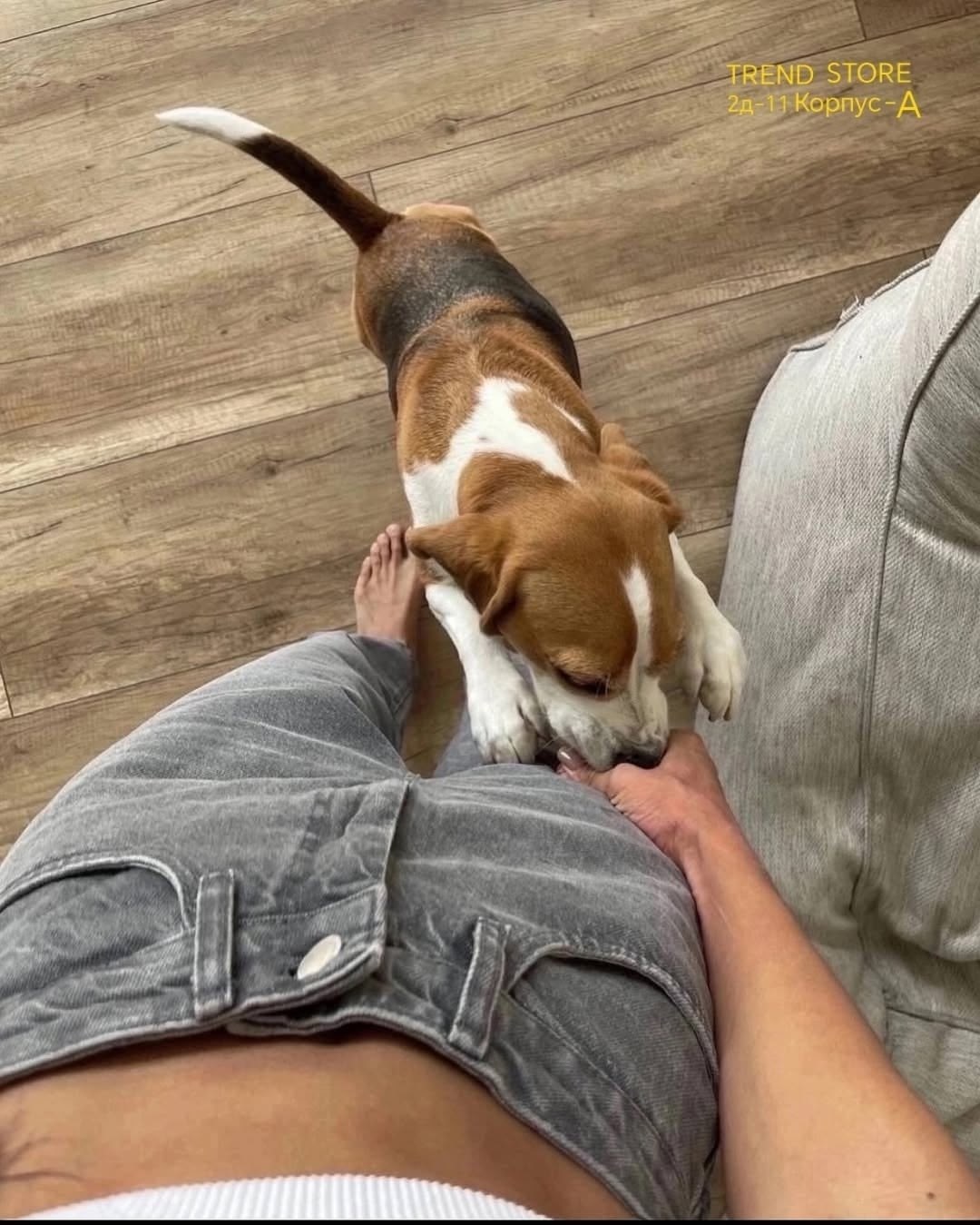 джинсы момы женские,стильные женские джинсы,джинсы мом,джинсы женские,джинсы джинсы