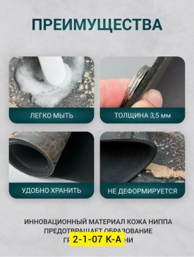 Одежда