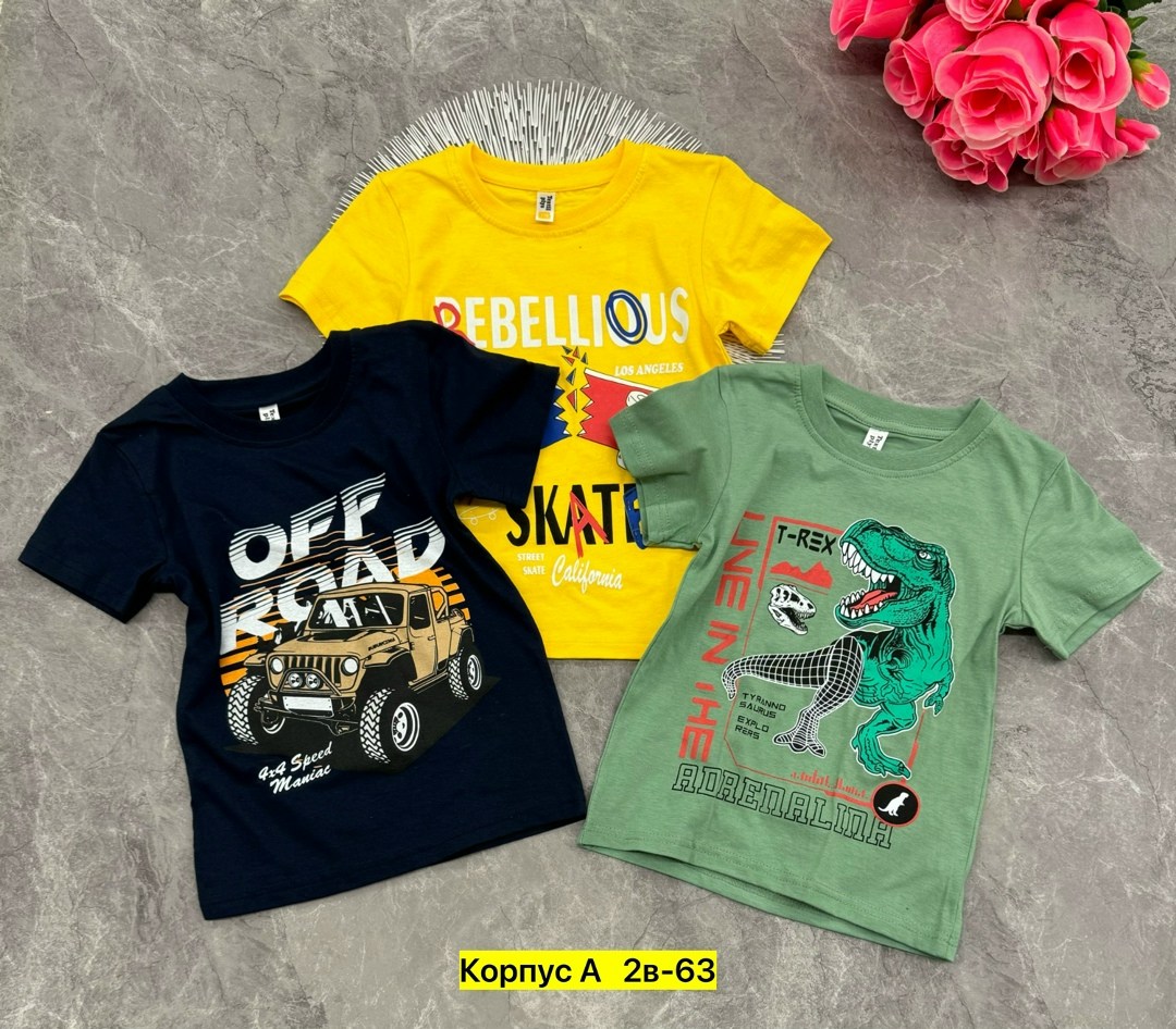 детские футболки и майки,футболки для мальчика,детские футболки опт,футболка детская ,футболка для мальчика 5 шт