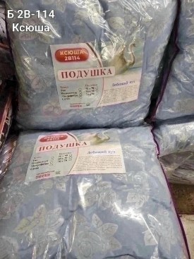 Одежда