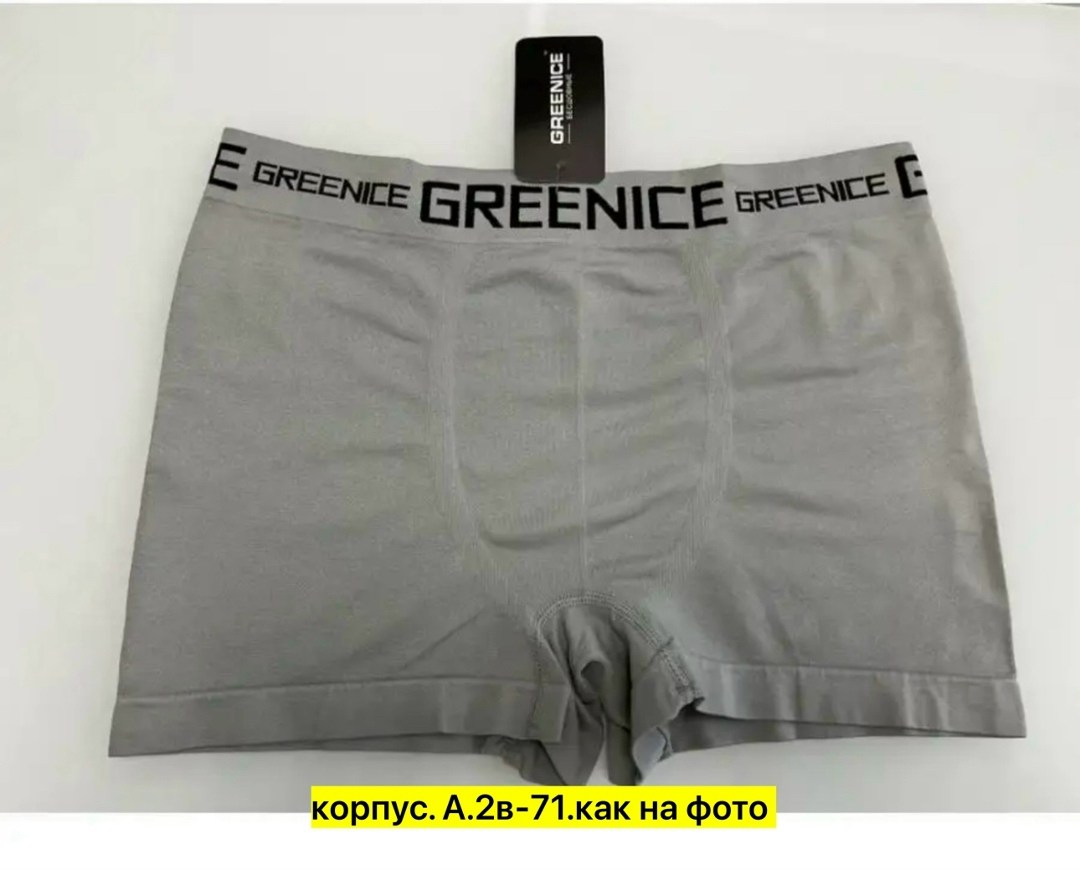 greenice трусы боксеры бесшовные мужские,greenice трусы мужские,комплект трусов боксеры greenice,мужские трусы greenice боксеры,greenice мужские трусы боксеры 2 штуки бесшовные
