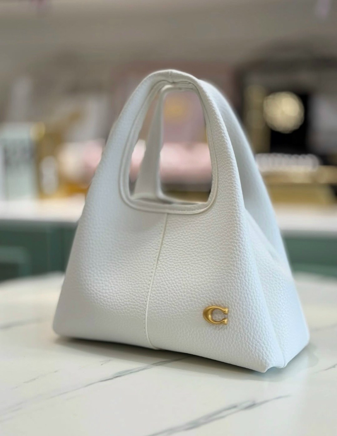 сумка,кожаная сумка,женская сумка,сумка женская coach,coach сумка тоут