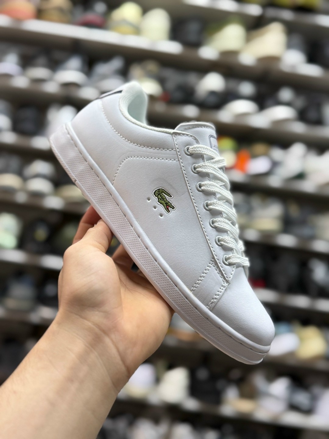 кроссовки lacoste carnabypro черный,кроссовки лакоста мужские,кроссовки на шнуровке lacoste черный,кеды lacoste carnaby evo bl 1,кроссовки lacoste