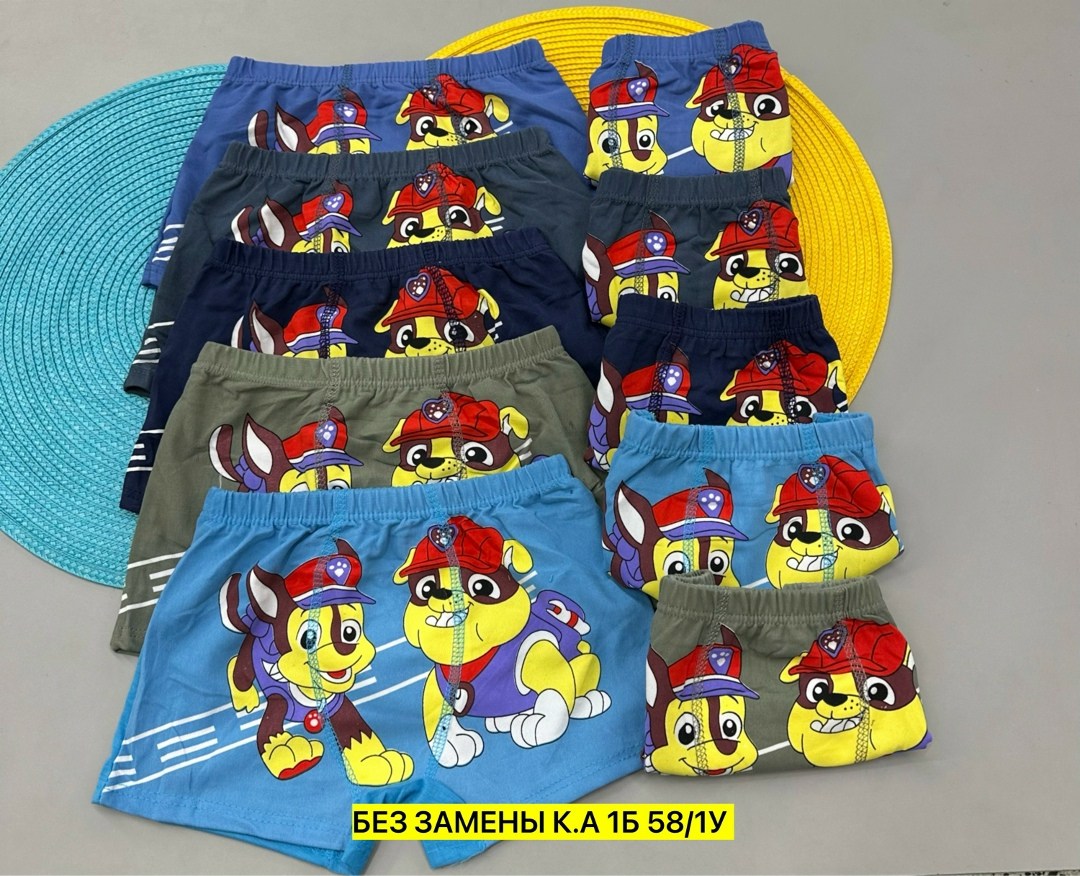 трусы для мальчиков,комплект трусов боксеры для мальчиков 8 шт,трусы детские для мальчика,трусы детские,комплект трусов боксеры cool kid для мальчиков