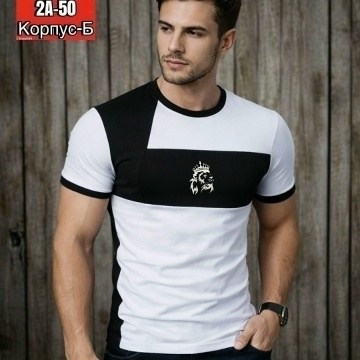 мужская футболка,футболка для мужчин,мужская мода,стильные мужские футболки,модные мужские футболки